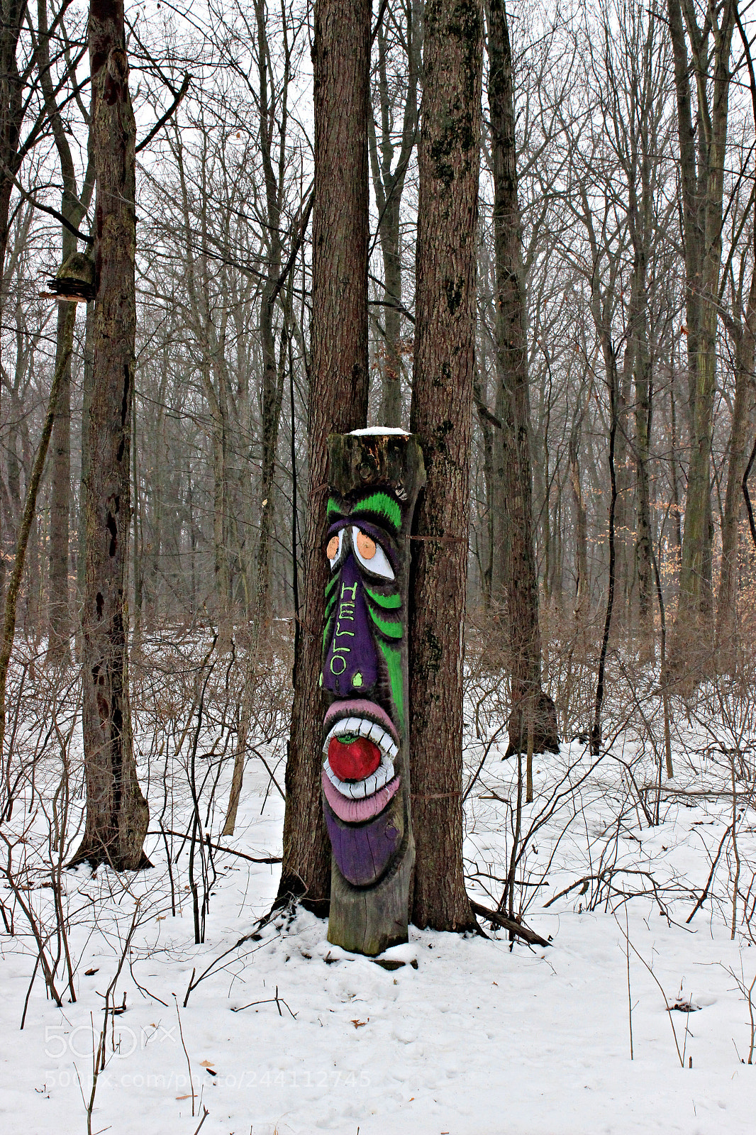 Canon EOS 600D (Rebel EOS T3i / EOS Kiss X5) sample photo. Heartland, little white chapel photography