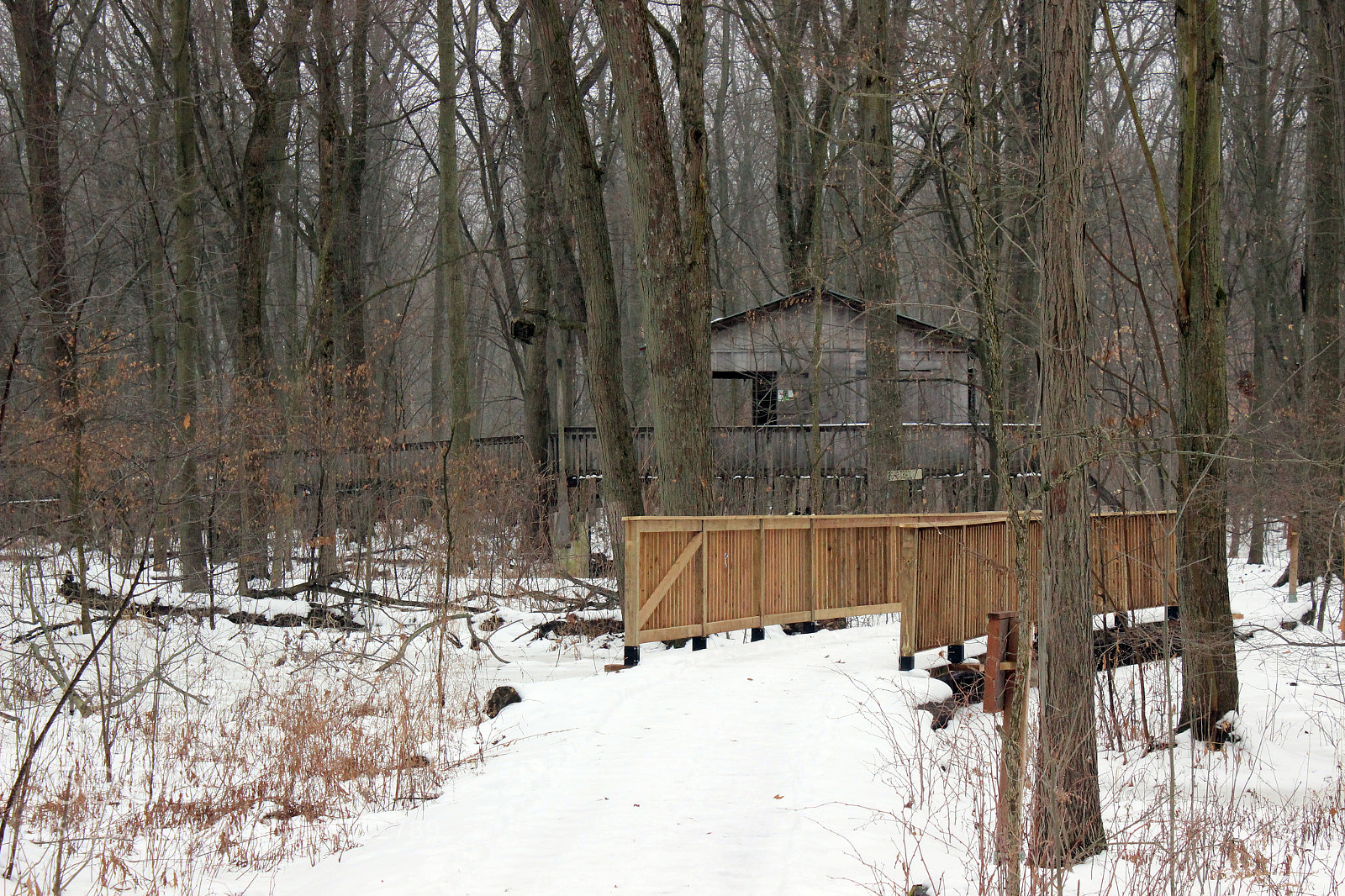 Canon EOS 600D (Rebel EOS T3i / EOS Kiss X5) sample photo. Heartland, little white chapel photography