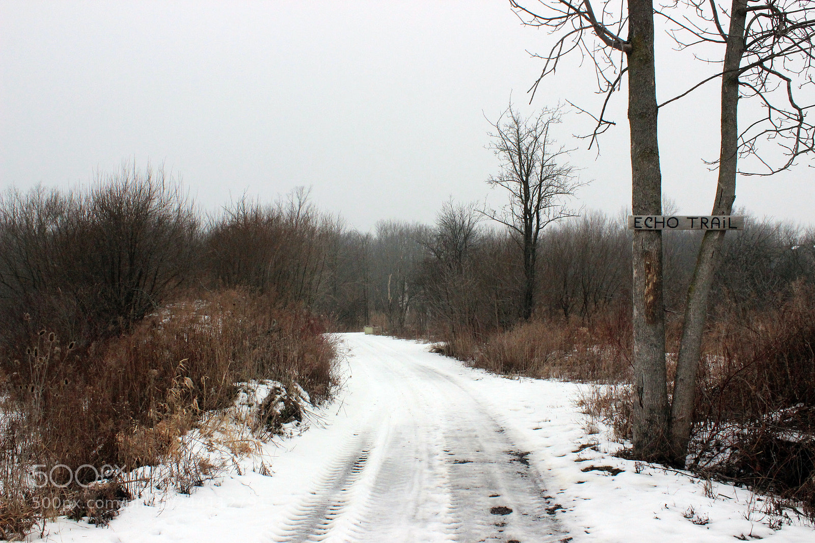 Canon EOS 600D (Rebel EOS T3i / EOS Kiss X5) sample photo. Heartland, little white chapel photography