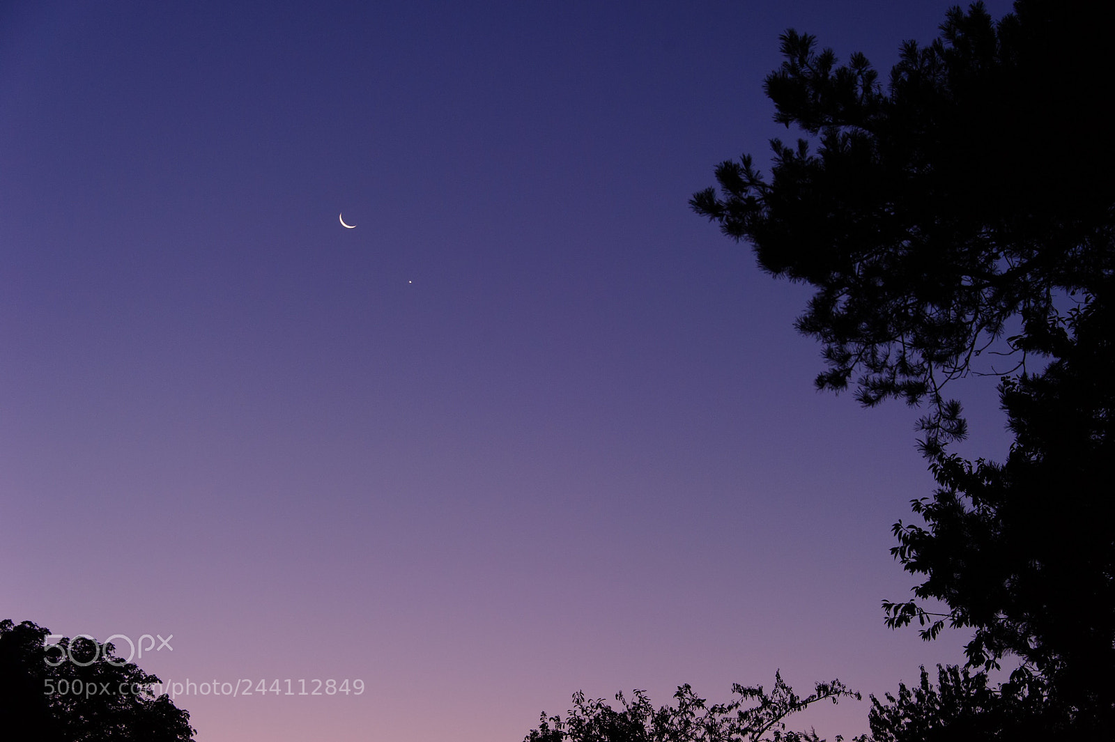 Nikon D3S sample photo. Untitled photography