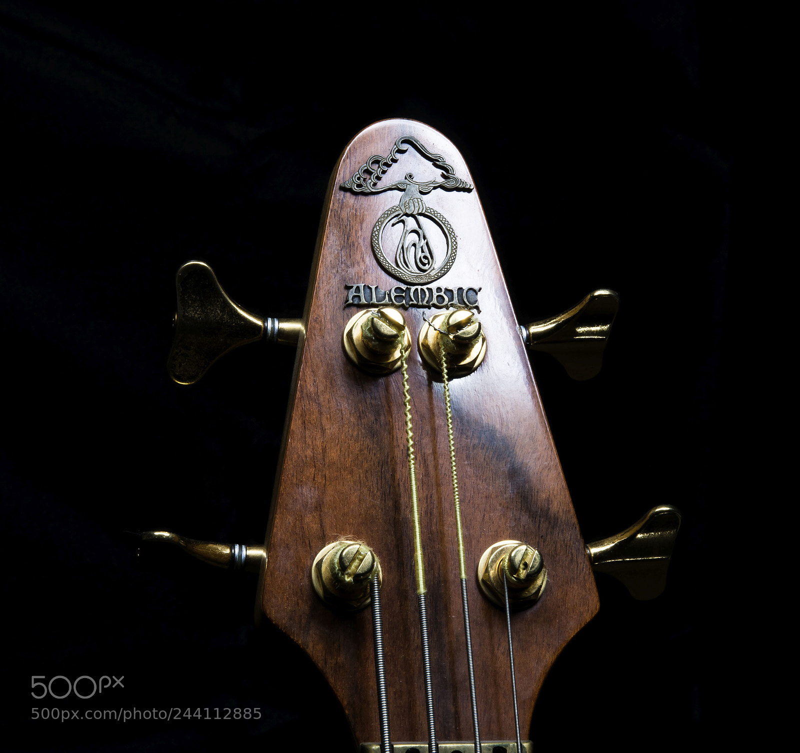 Nikon D7100 sample photo. Alembic head photography