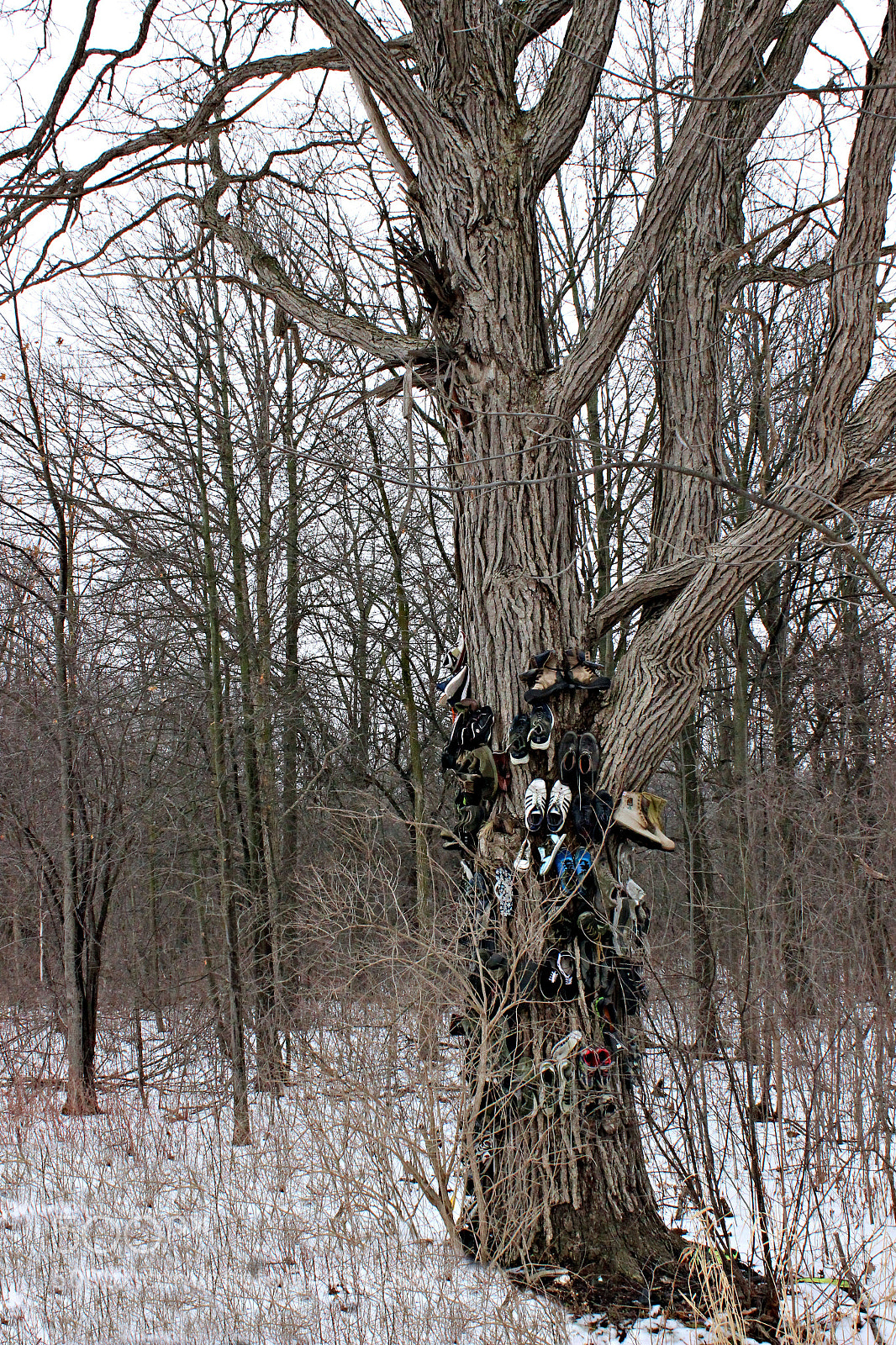 Canon EOS 600D (Rebel EOS T3i / EOS Kiss X5) sample photo. Heartland, little white chapel photography
