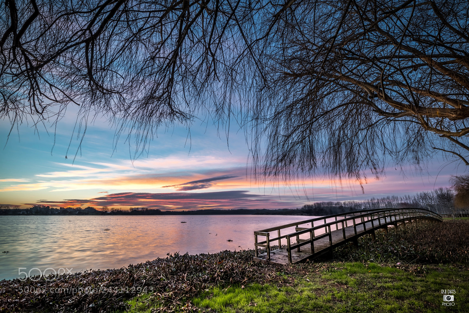 Nikon D810 sample photo. "nature: cheaper than therapy." photography