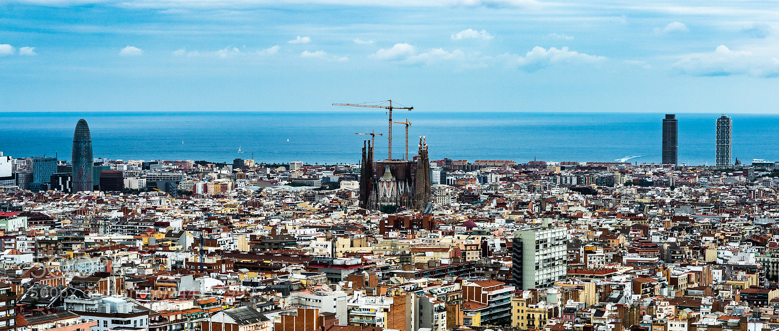 Nikon Df sample photo. [nikon,spain,2014]-44.jpg photography