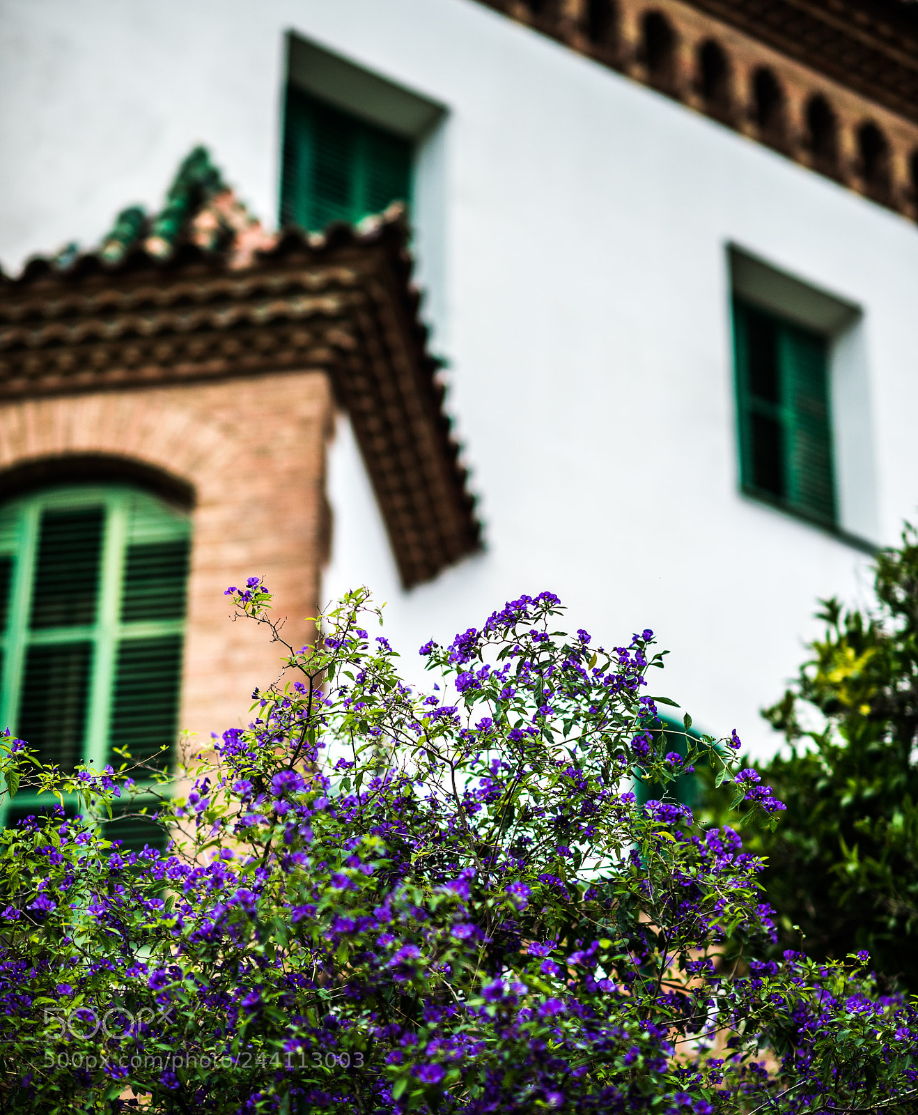 Nikon Df sample photo. [nikon,spain,2014]-42.jpg photography