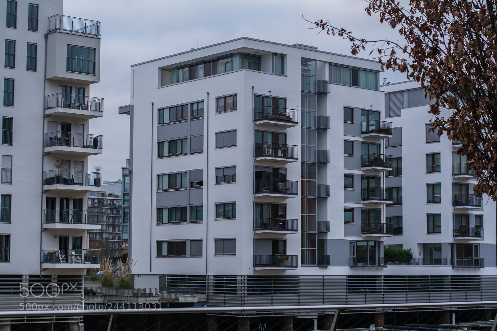 Nikon D7100 sample photo. Wh photography