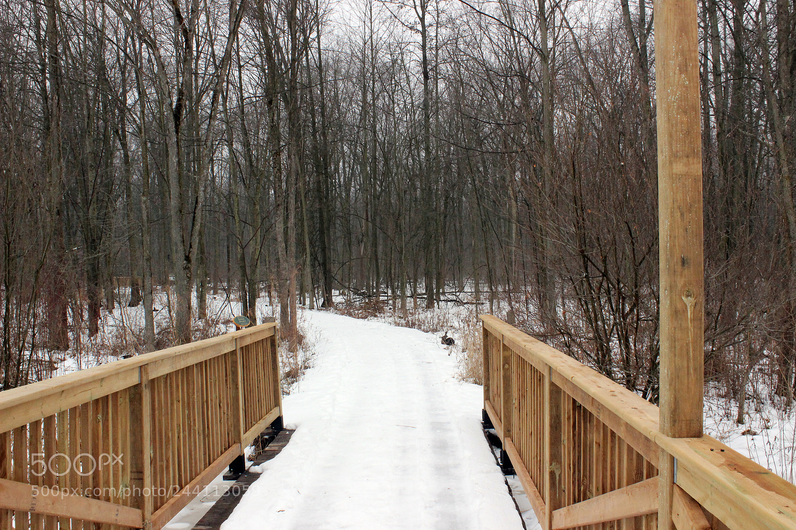 Canon EOS 600D (Rebel EOS T3i / EOS Kiss X5) sample photo. Heartland, little white chapel photography
