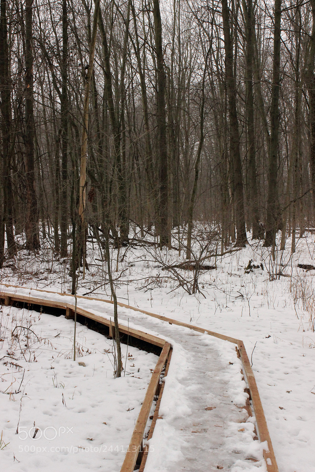Canon EOS 600D (Rebel EOS T3i / EOS Kiss X5) sample photo. Heartland, little white chapel photography