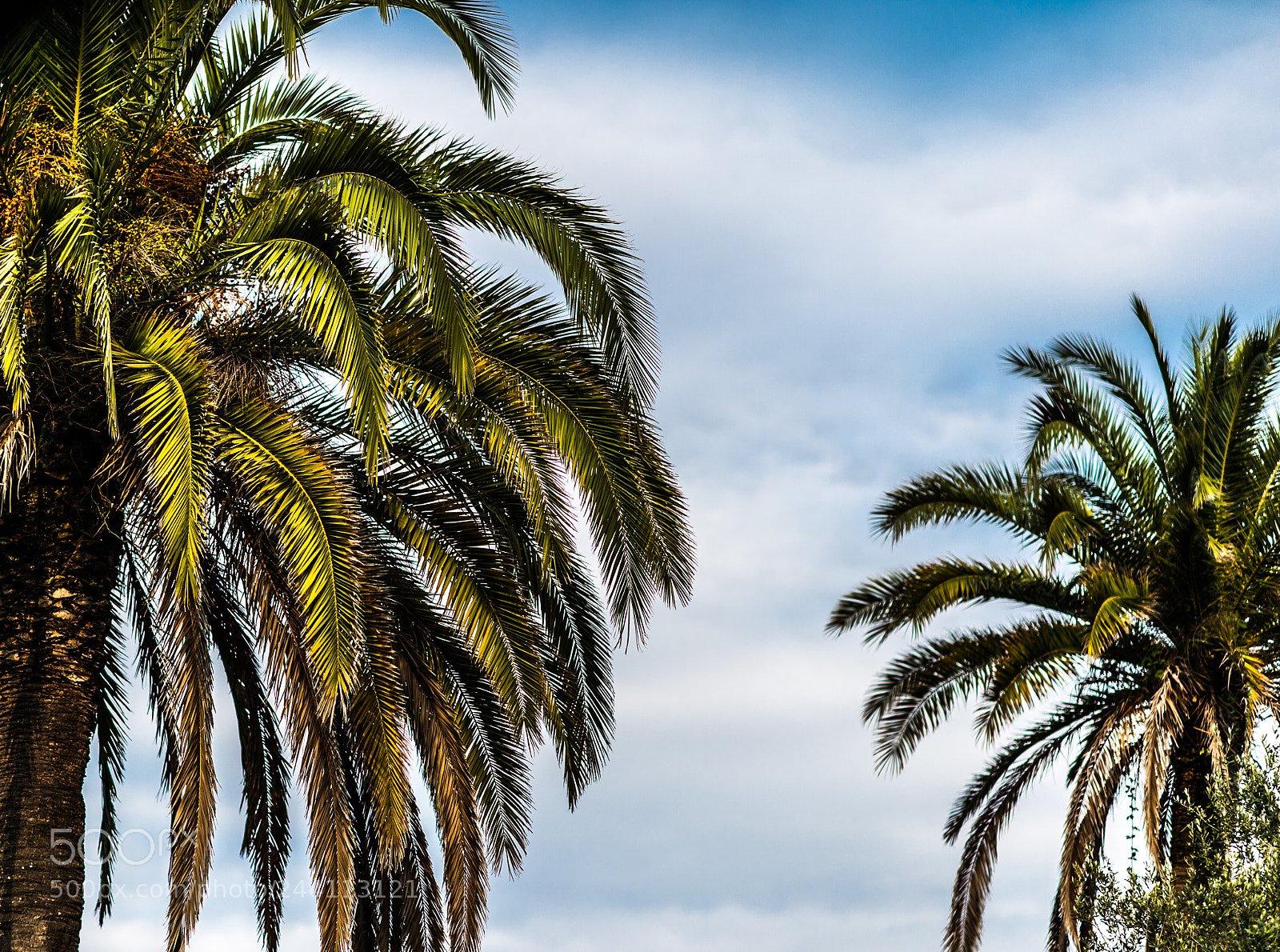 Nikon Df sample photo. [nikon,spain,2014]-5.jpg photography