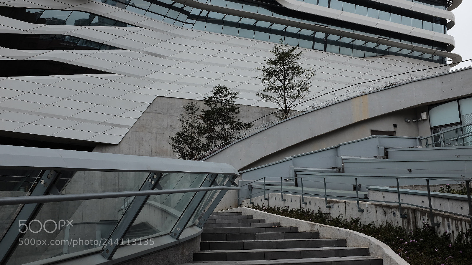 Fujifilm X100T sample photo. Untitled photography