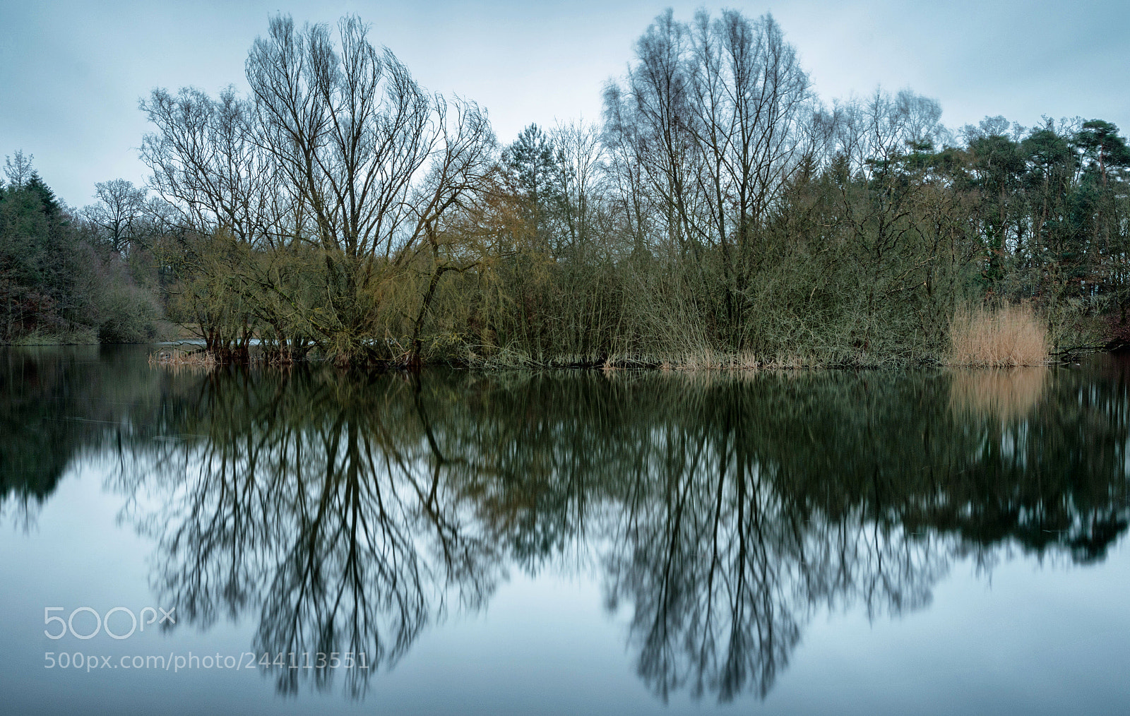 Nikon D7200 sample photo. Fechenheimer weiher photography