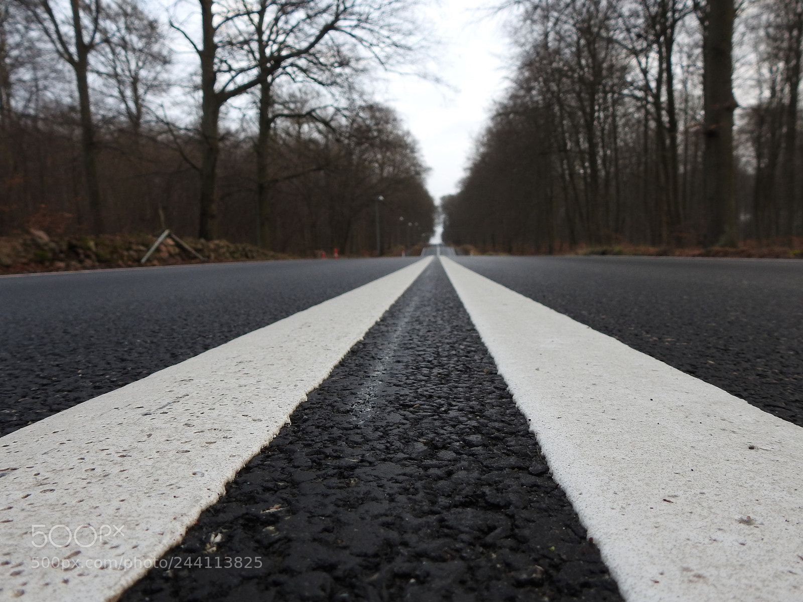 Nikon Coolpix P900 sample photo. On the road again photography