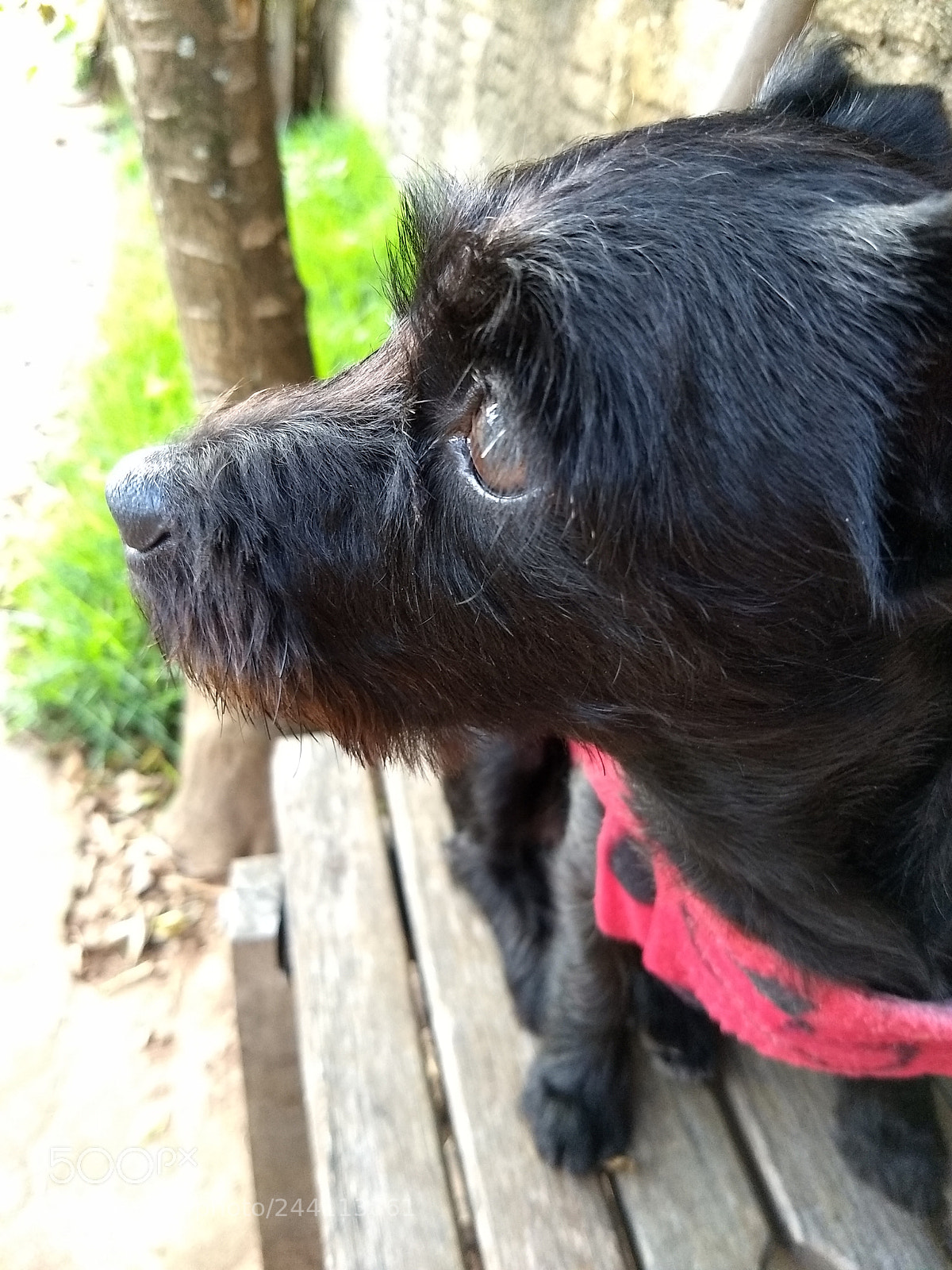 Motorola Moto G (5) Plus sample photo. Untitled photography