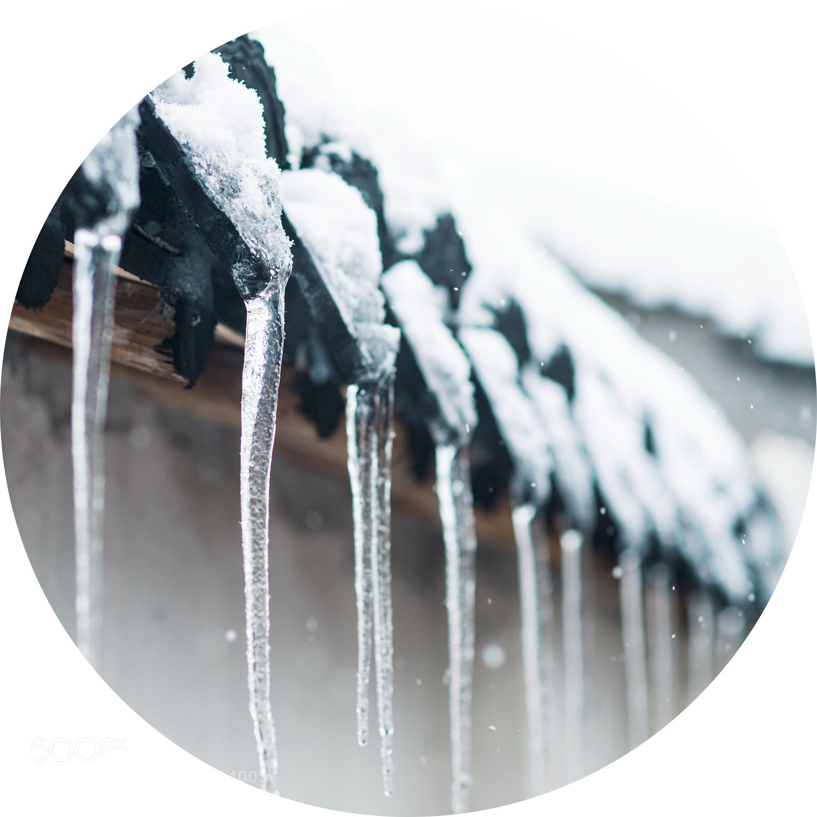 Nikon Df sample photo. Cold photography