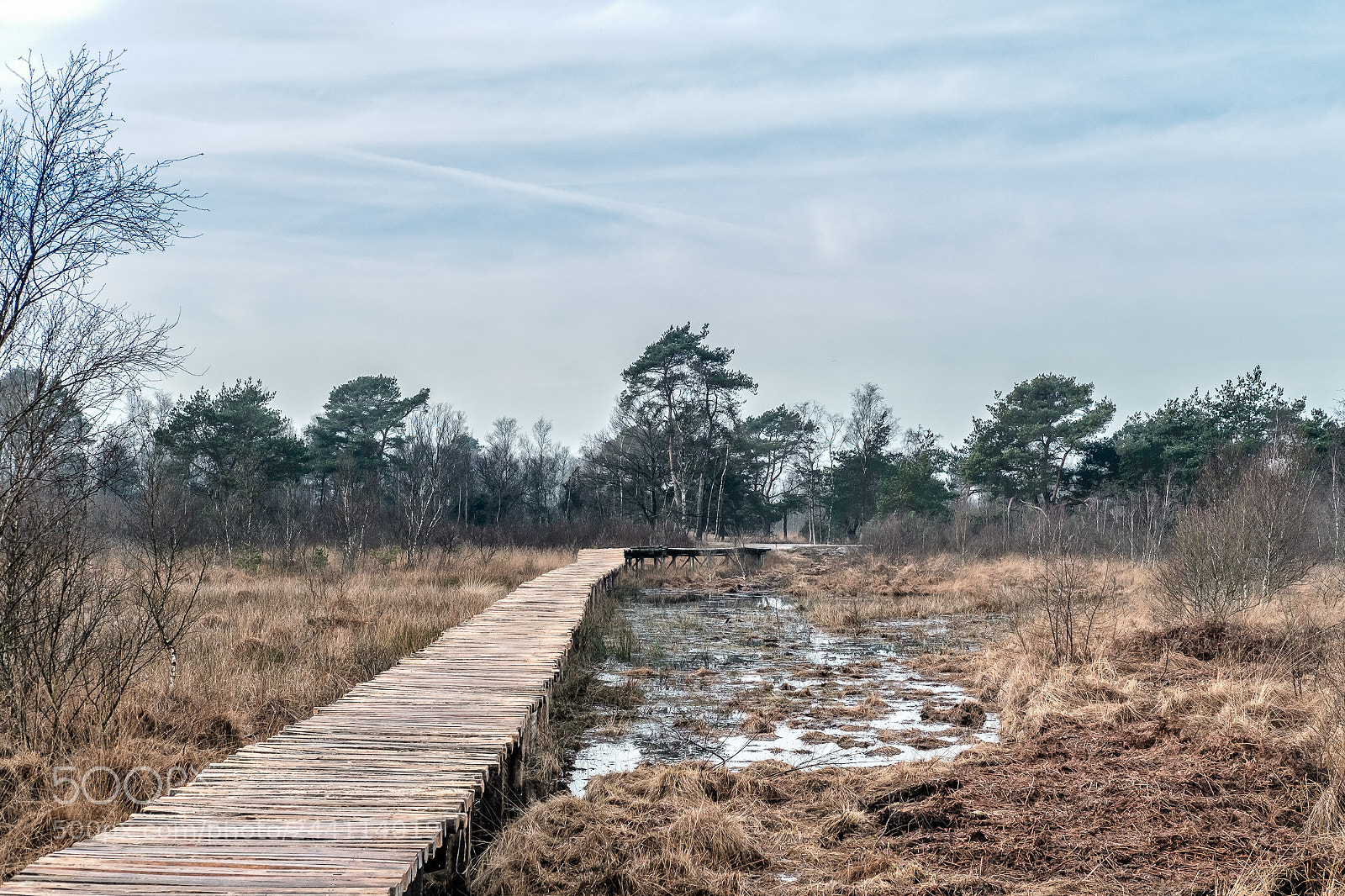 Fujifilm X-T2 sample photo. De peel photography