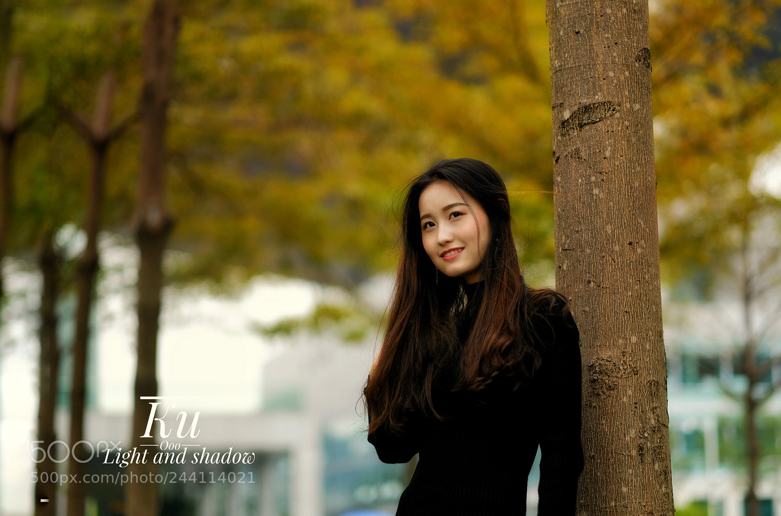 Fujifilm X-T2 sample photo. Untitled photography