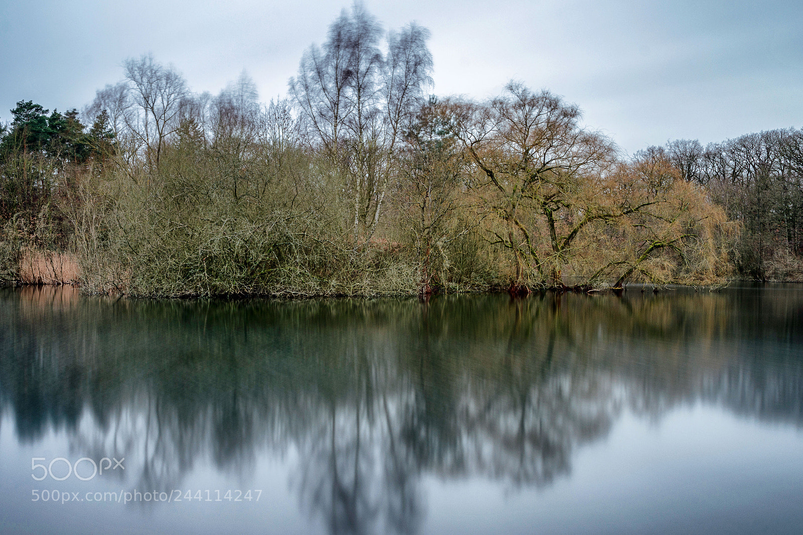 Nikon D7200 sample photo. Fechenheimer weiher photography