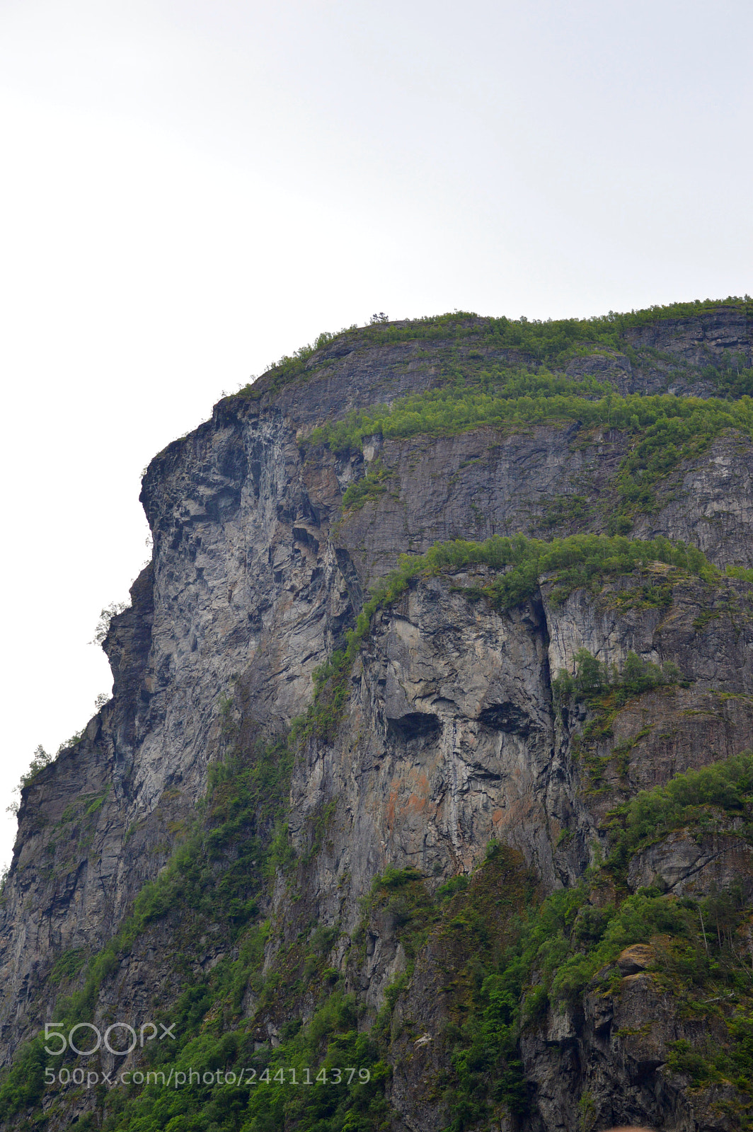 Nikon D3200 sample photo. A face in the photography