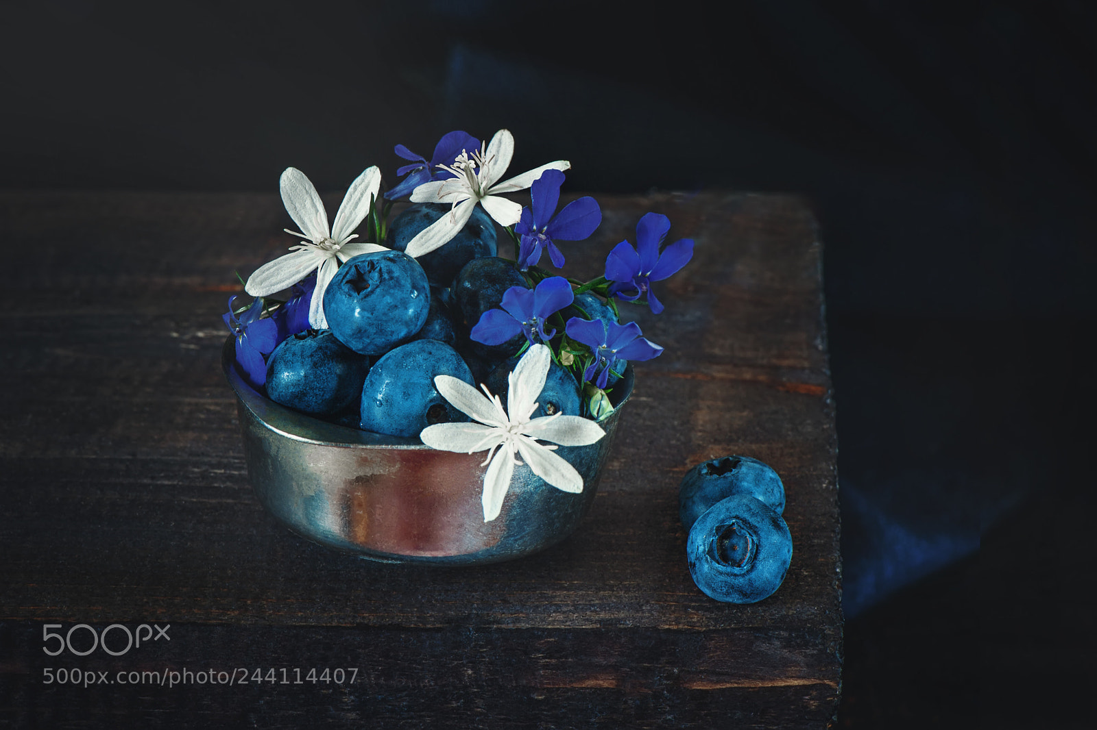 Nikon D700 sample photo. Ripe blue blueberries in photography