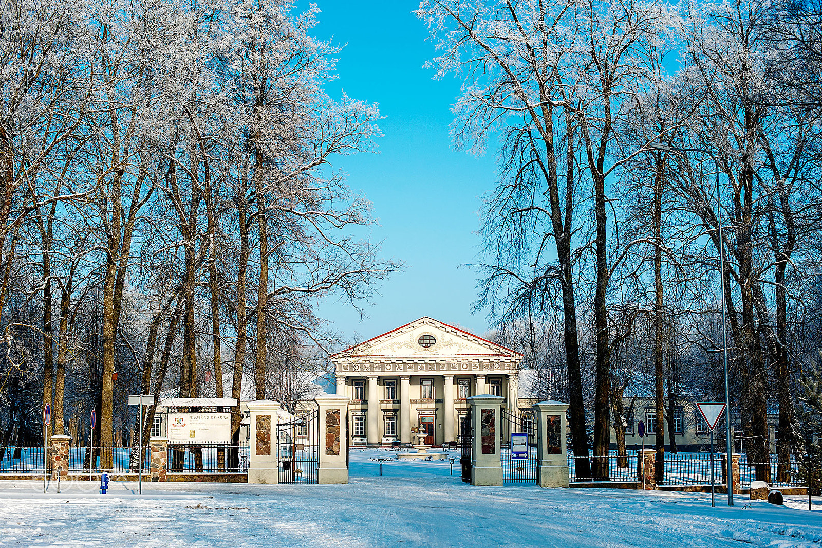 Nikon D3 sample photo. Manor in winter photography