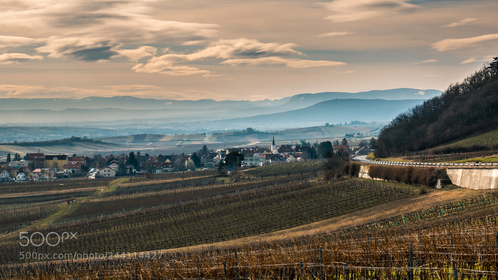Panasonic DMC-G81 sample photo. Gumpoldskirchen photography