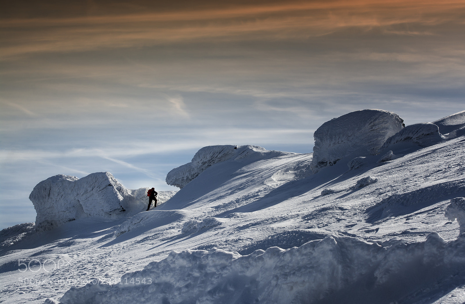 Nikon D7100 sample photo. On the frozen top photography