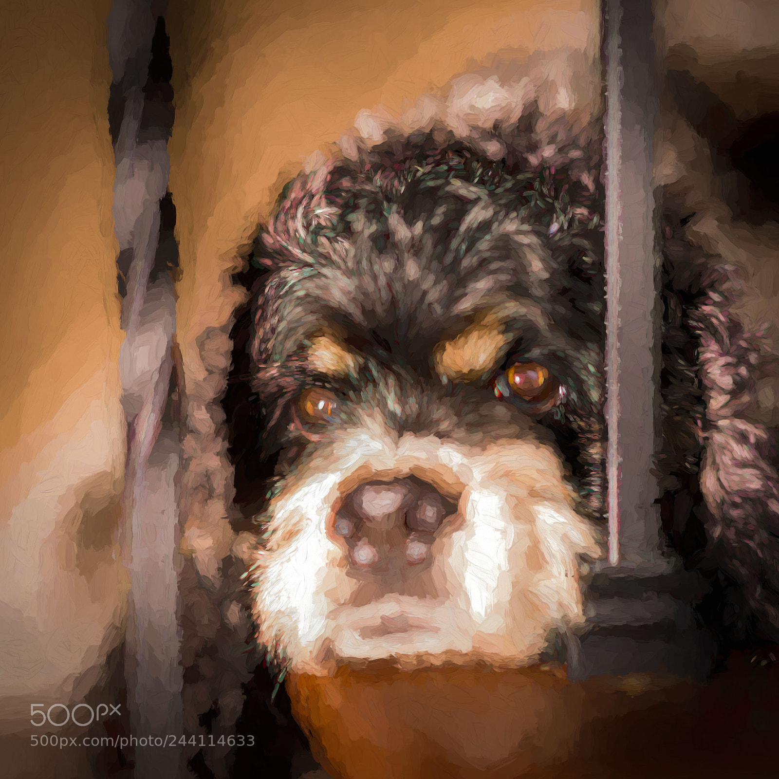 Sony a7R III sample photo. Topaz impressions 2 photography