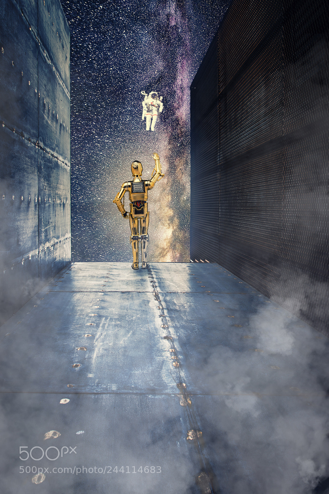 Nikon D5500 sample photo. C-3po photography