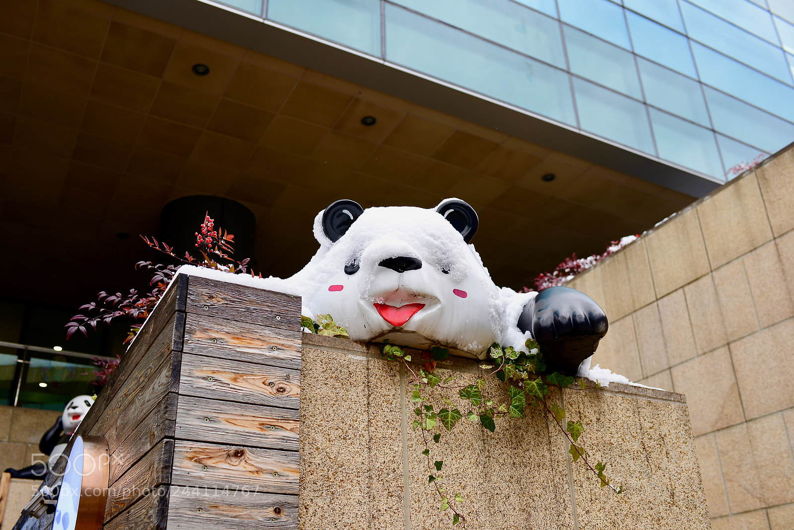 Nikon D610 sample photo. 大隐 photography