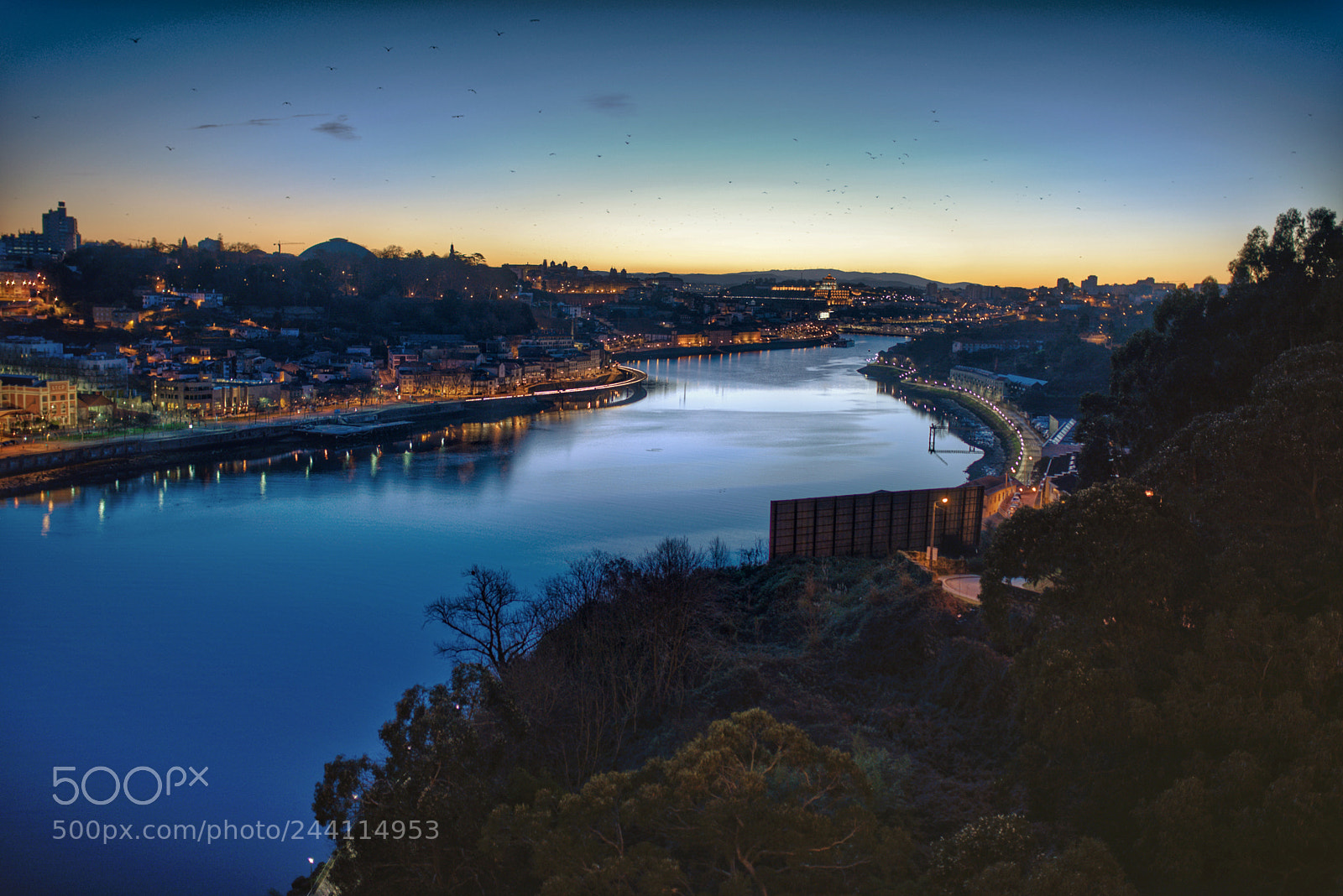 Nikon D610 sample photo. Rio douro photography