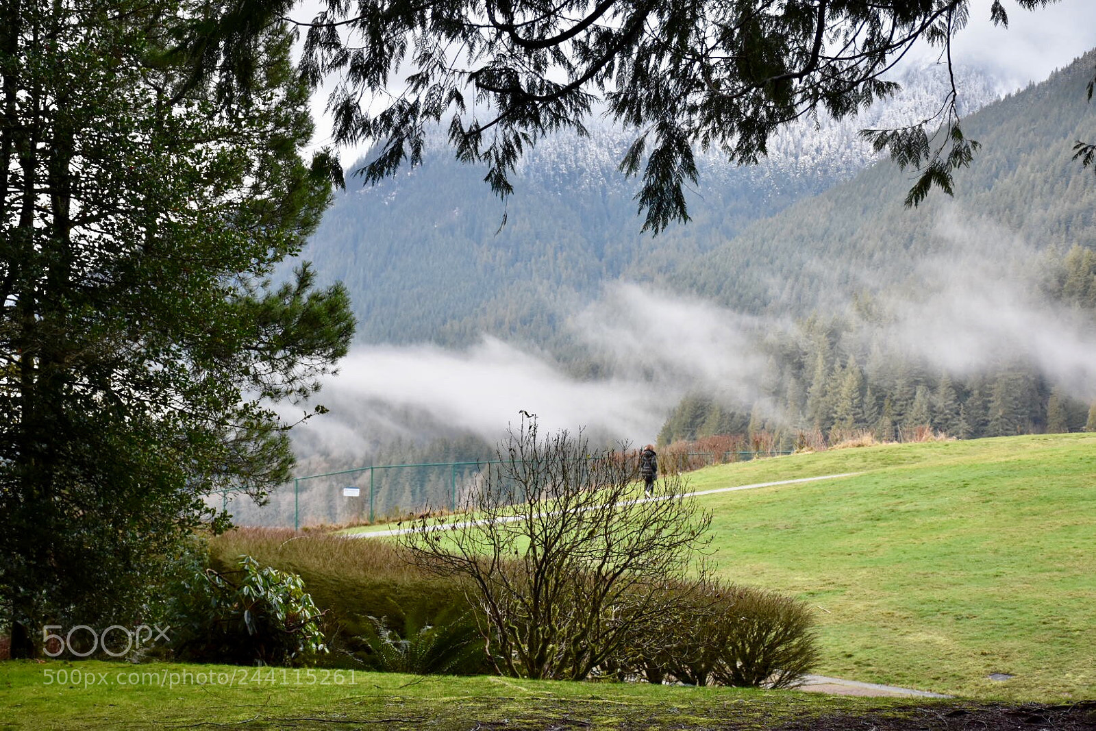 Nikon D7200 sample photo. Untitled photography