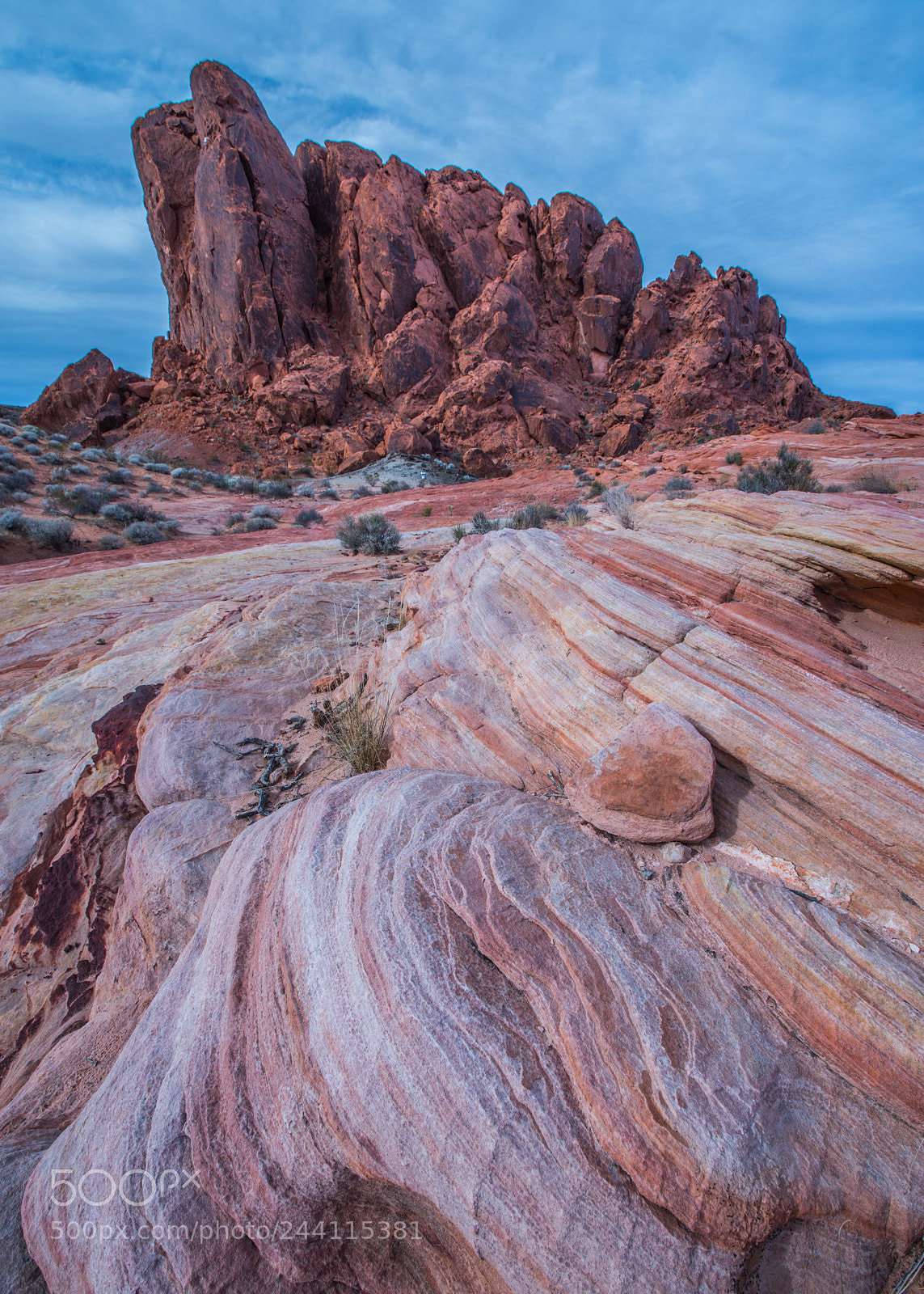 Nikon D7200 sample photo. Valley of fire photography