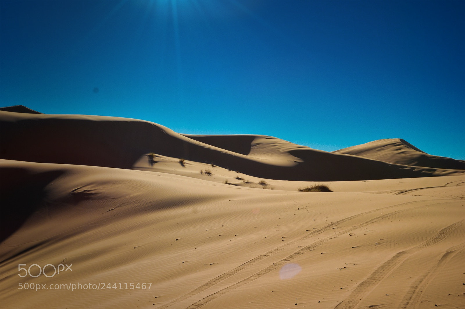 Nikon D3200 sample photo. Sahara photography