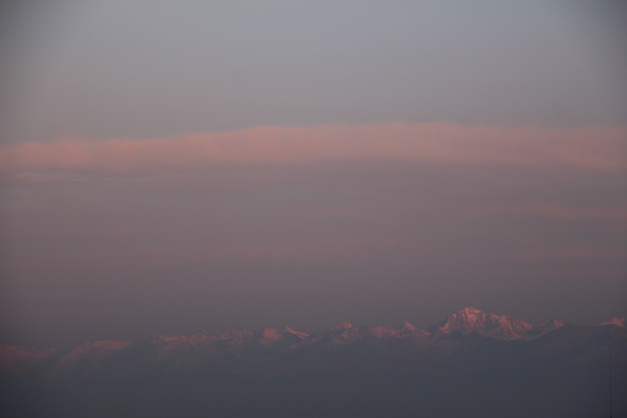 Sigma 18-250mm F3.5-6.3 DC OS HSM sample photo. Pretty in pink photography