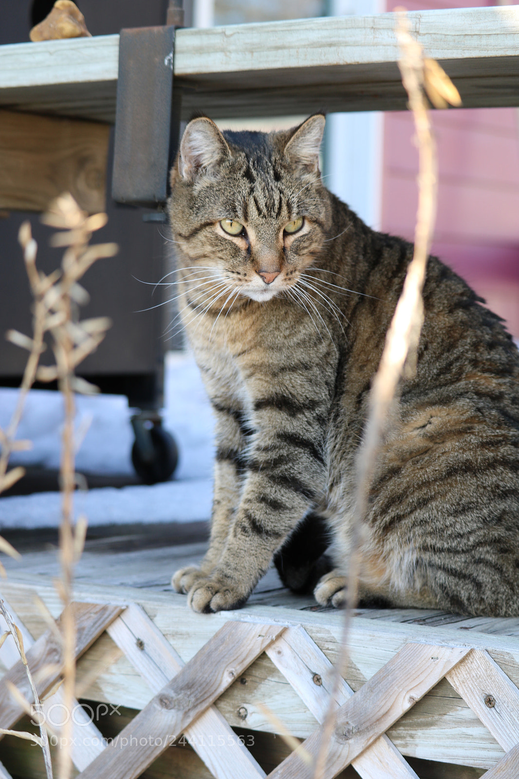 Canon EOS 750D (EOS Rebel T6i / EOS Kiss X8i) sample photo. I think he is photography