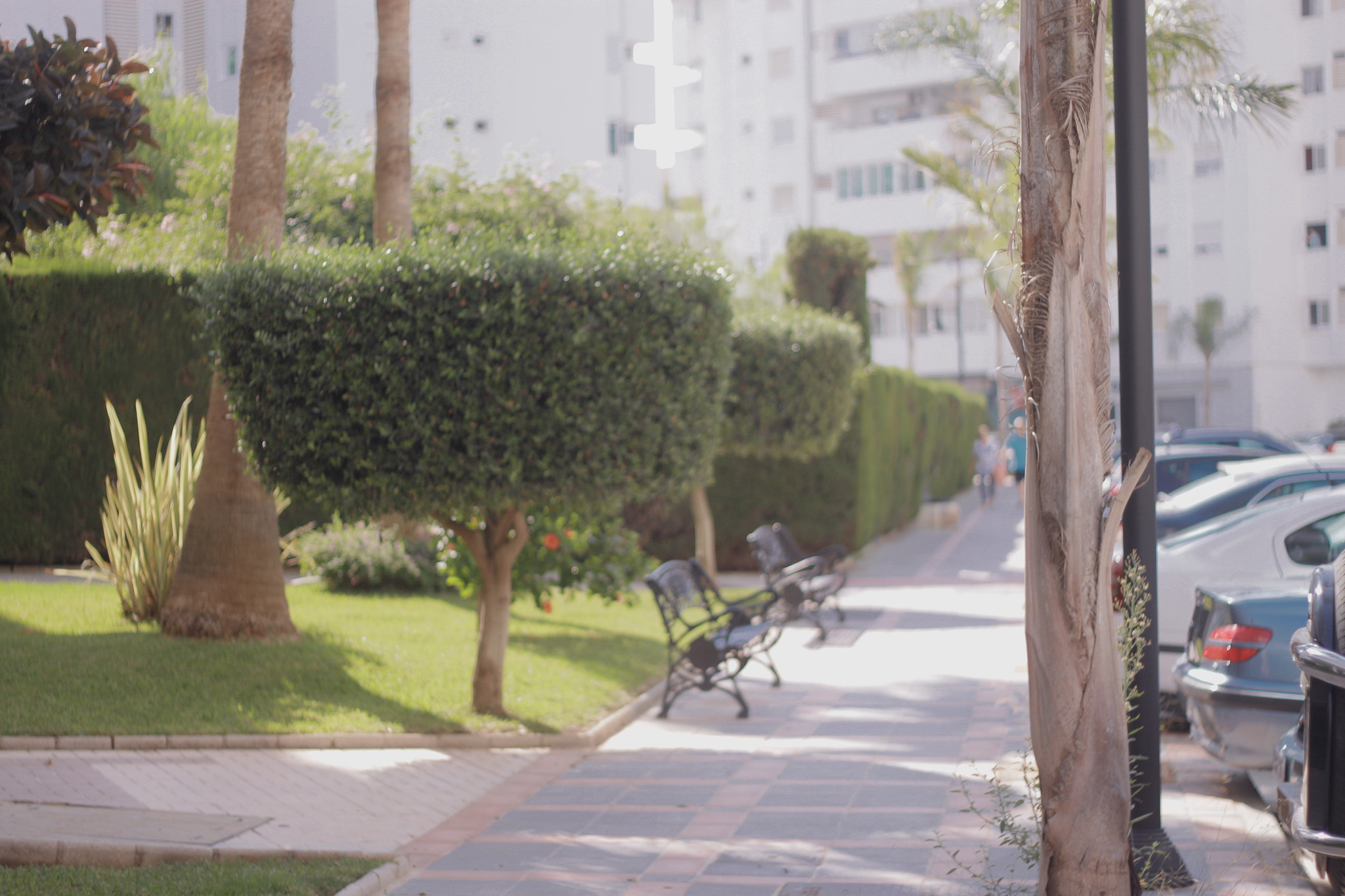 Canon EOS 500D (EOS Rebel T1i / EOS Kiss X3) + Canon EF 50mm f/1.8 sample photo. Spain 2015 photography