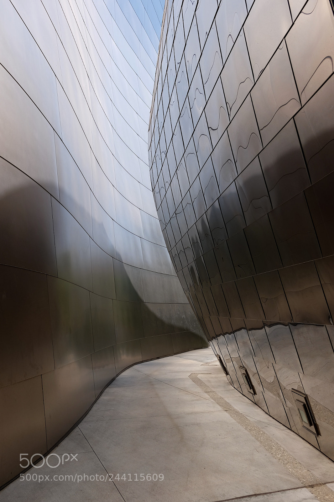 Fujifilm X-T1 sample photo. Curved skins photography