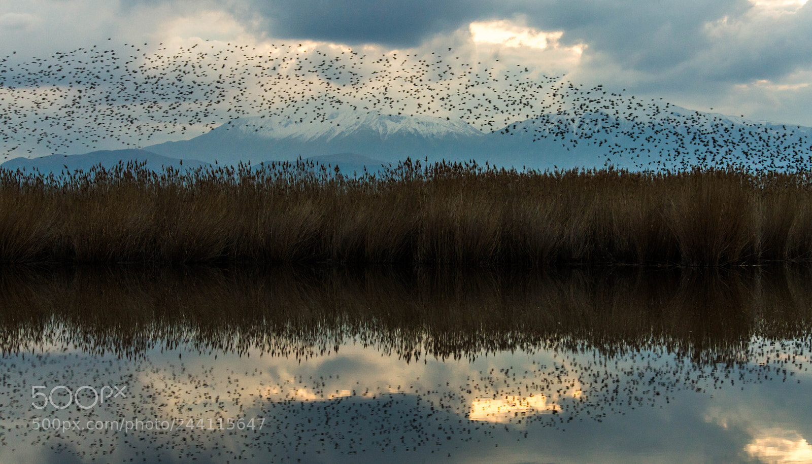 Nikon D3200 sample photo. Reflections photography