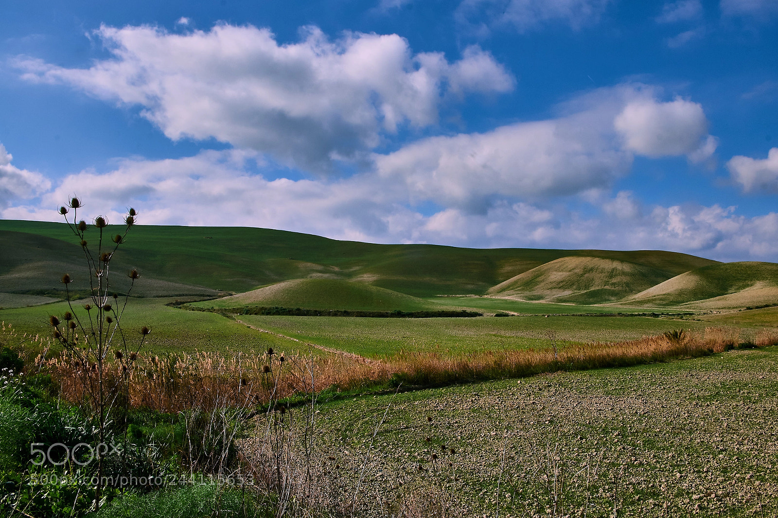 Fujifilm X-T1 sample photo. Natura photography