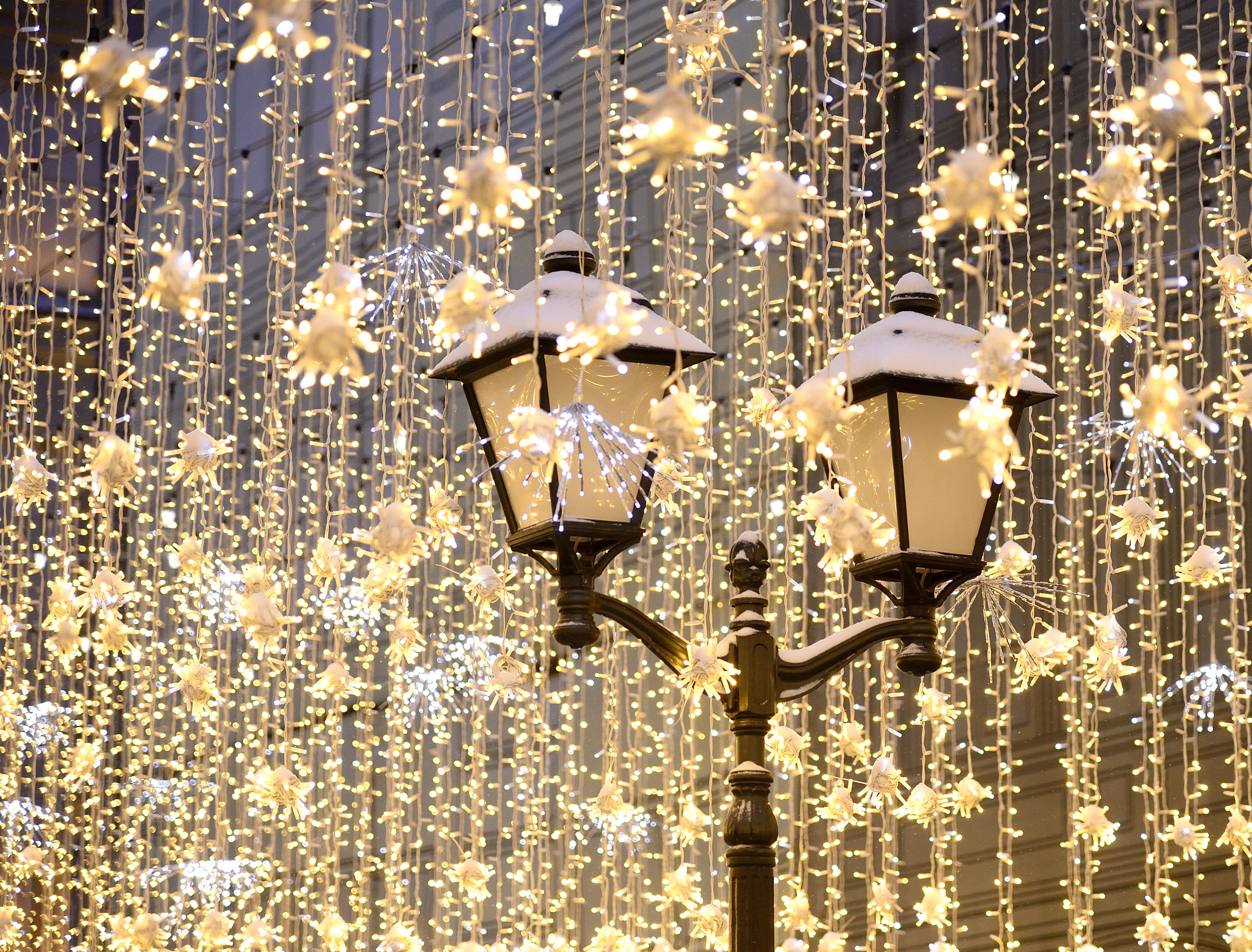 Nikon AF-S Nikkor 24-120mm F4G ED VR sample photo. Christmas fairy tale photography