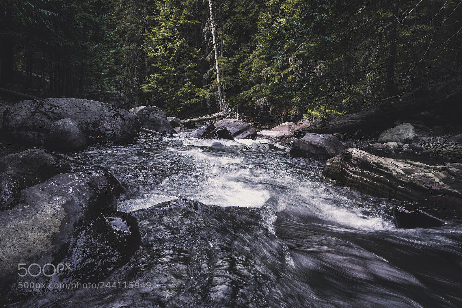 Sony Cyber-shot DSC-RX100 II sample photo. Avalanche creek photography