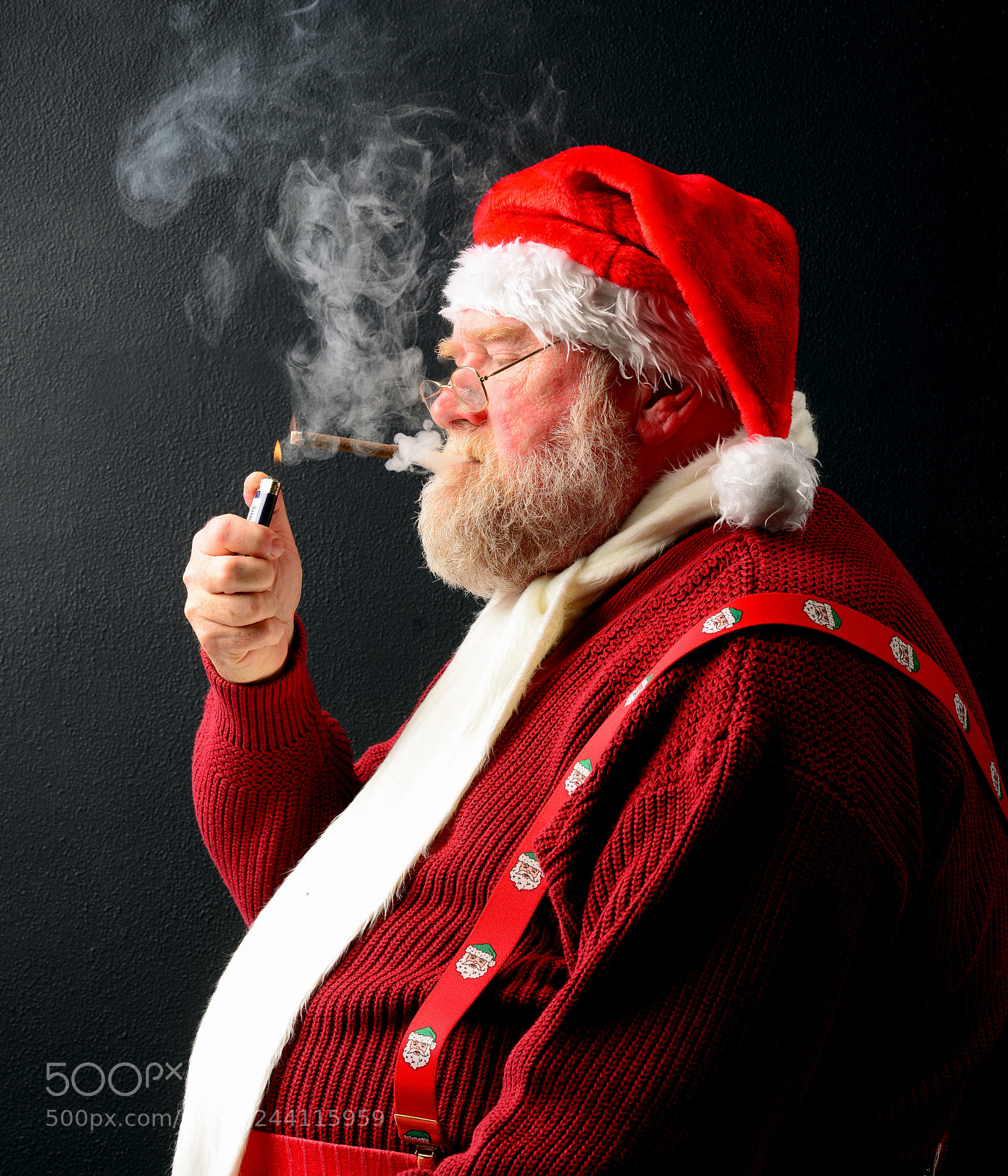 Nikon D800E sample photo. Santa photography