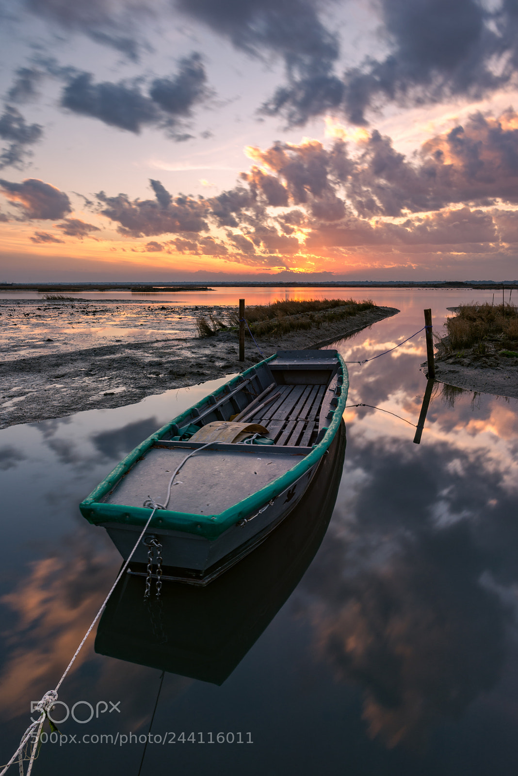 Nikon D610 sample photo. Bay photography