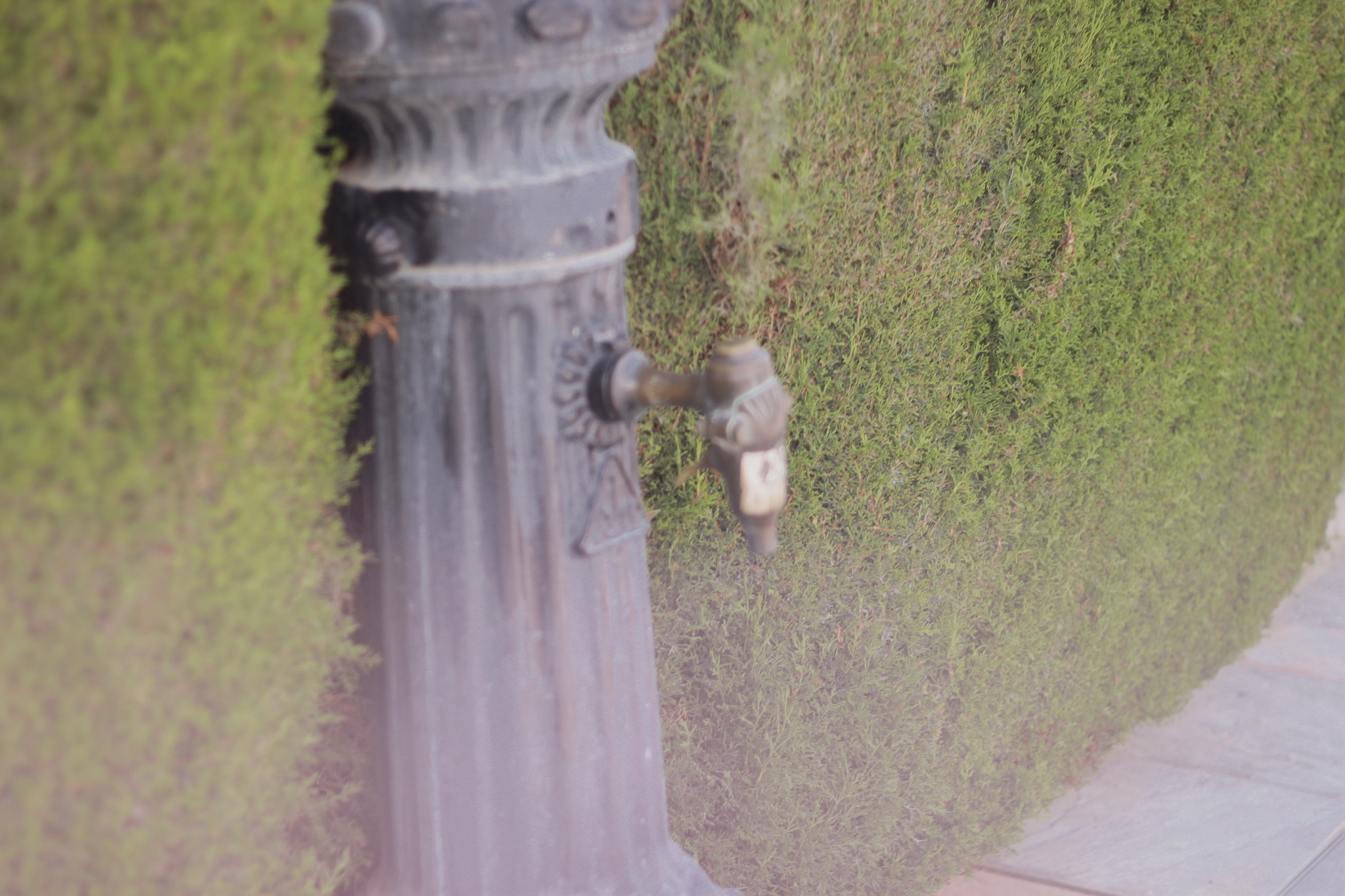 Canon EOS 500D (EOS Rebel T1i / EOS Kiss X3) + Canon EF 50mm f/1.8 sample photo. Spain 2015 photography
