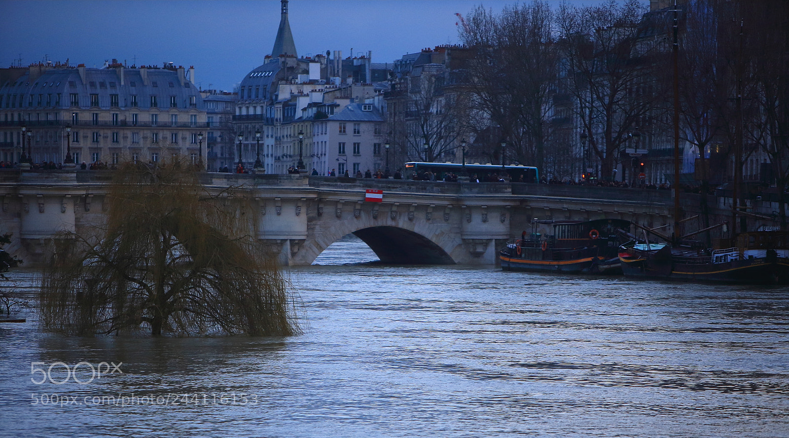 Canon EOS 5D sample photo. Untitled photography