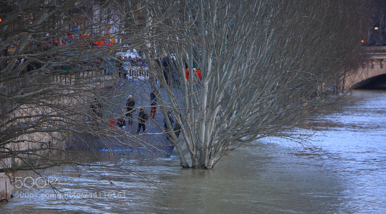 Canon EOS 5D sample photo. Untitled photography