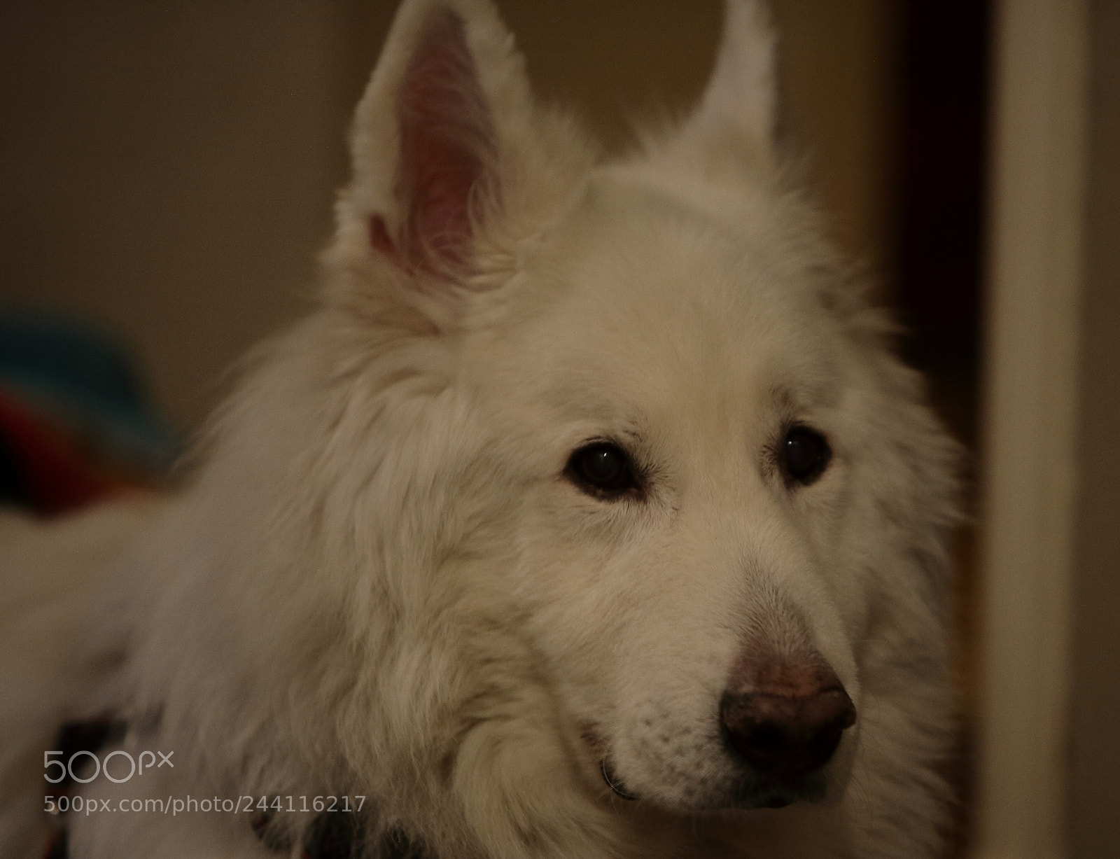 Canon EOS 5D sample photo. Untitled photography