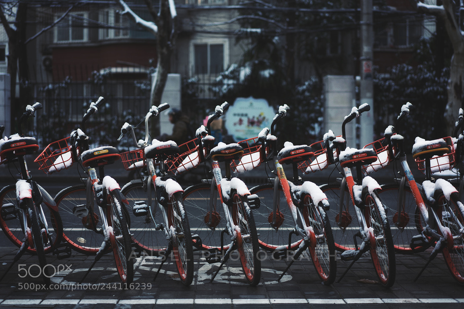 Sony a7R II sample photo. Untitled photography