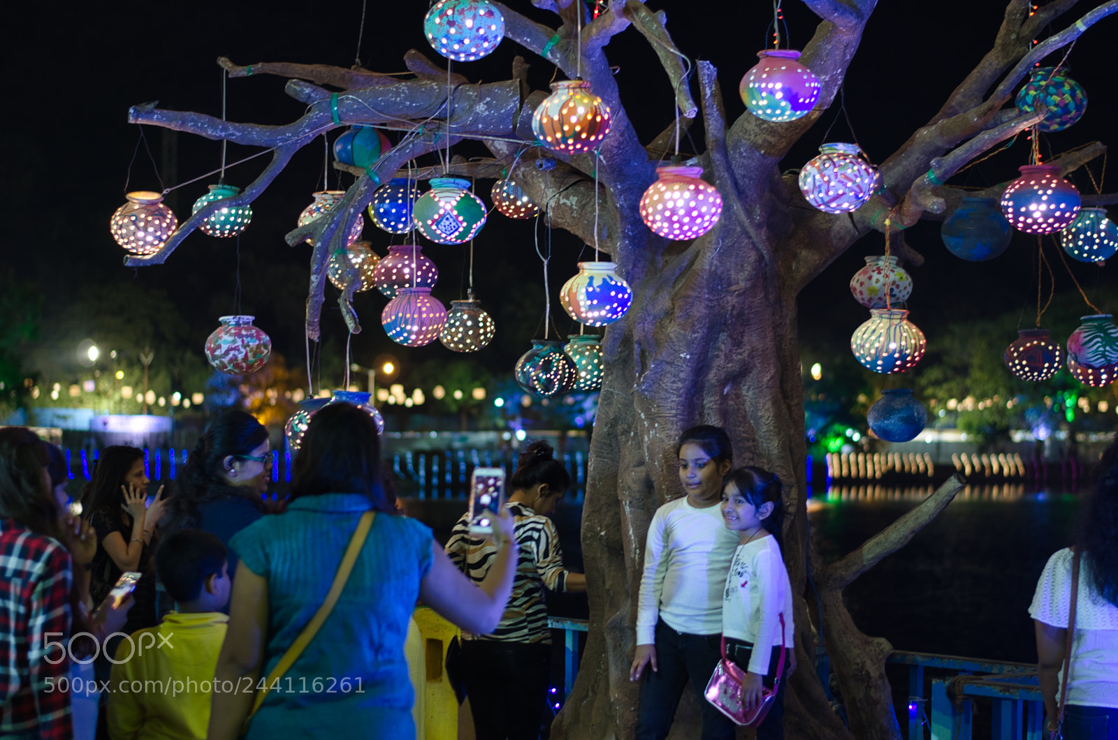 Nikon D5100 sample photo. The selfie tree! photography