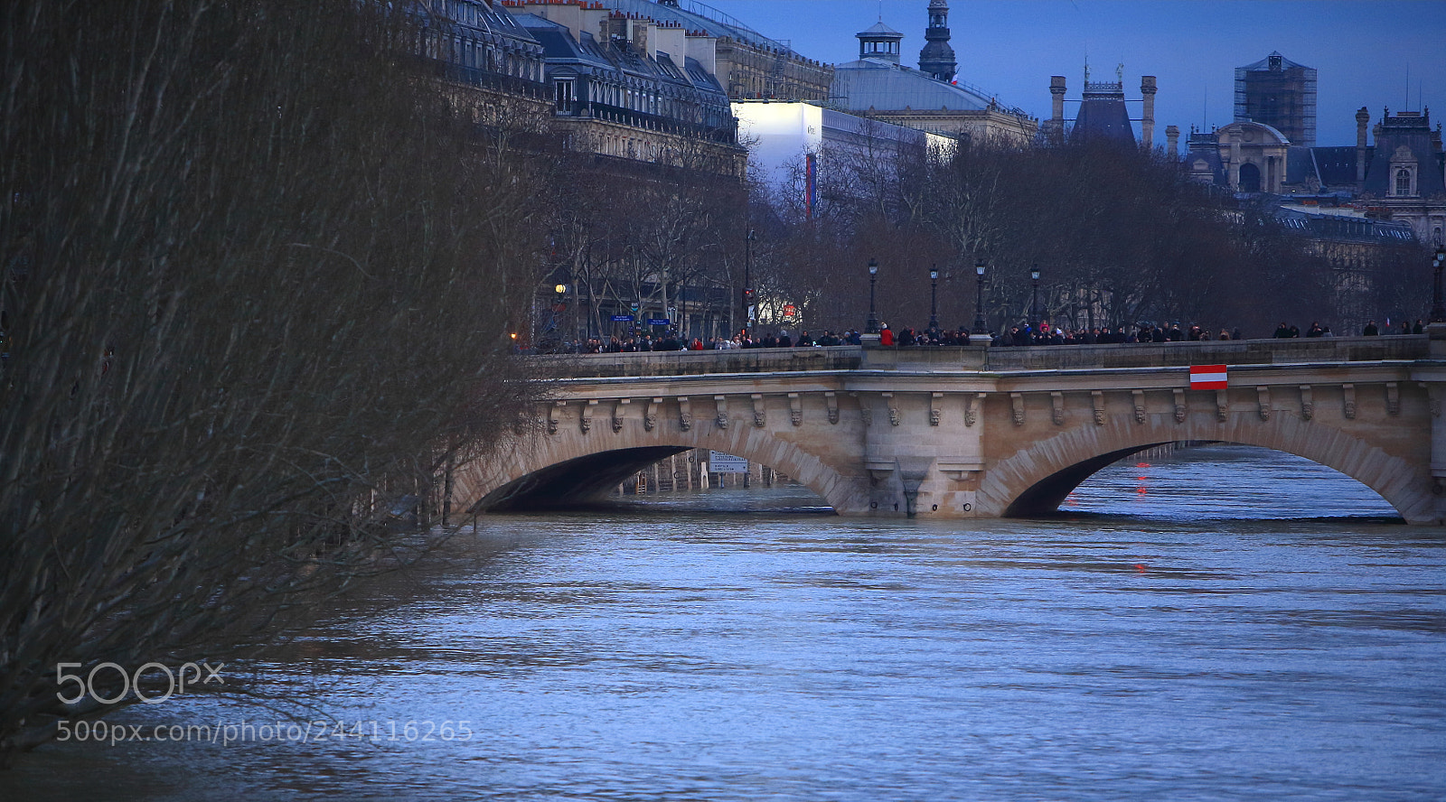 Canon EOS 5D sample photo. Untitled photography